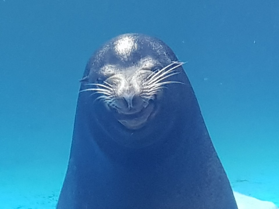 KakaoTalk_20190628_175321073.jpg