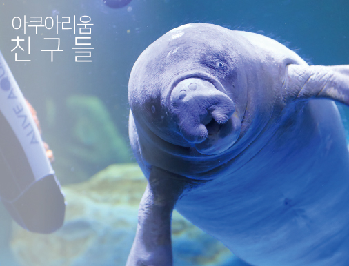 메인2