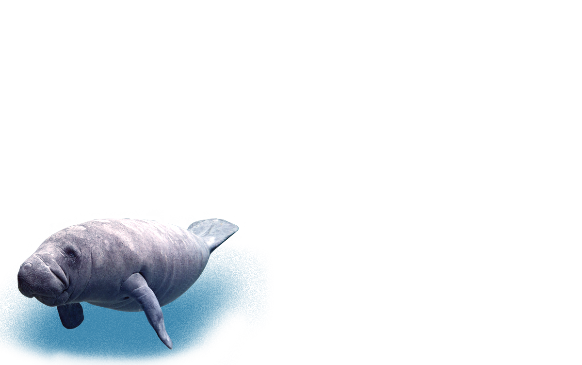 대구의 푸른바다 대구아쿠아리움